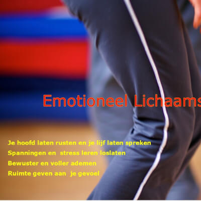 Avondreeks Emotioneel Lichaamswerk® Avondreeks Emotioneel Lichaamswerk®